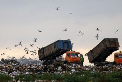 В Московской области стало известно точное число квартир, построенных рядом с мусорными полигонами