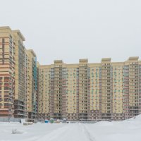Процесс строительства ЖК «Пригород. Лесное» , Январь 2021