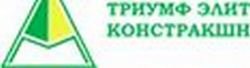 Логотип компании «Триумф Элит Констракшн Инк.»